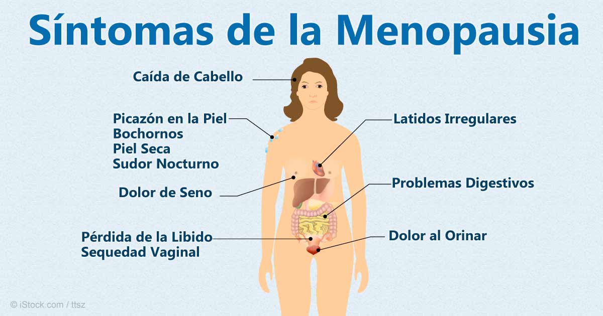Cuando llega la menopausia | Fontaneda Espacio Salud